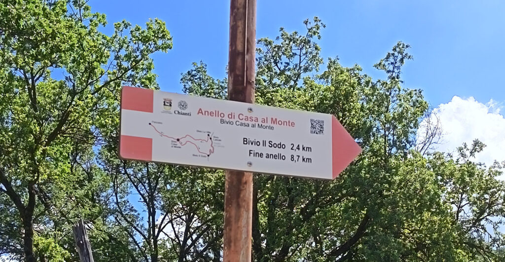 turismo (4)